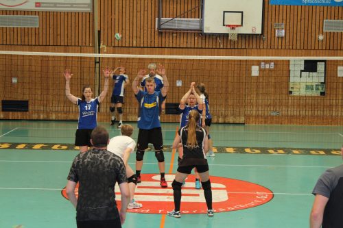 Volleyball m Trimmelter Sportverein